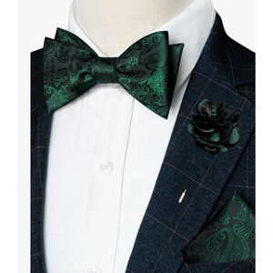 Men's Unbranded Green Black Paisley One Size Bow Tie Set